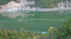Liqeni i Dibrës po shëndrohet në një moçal gjigand